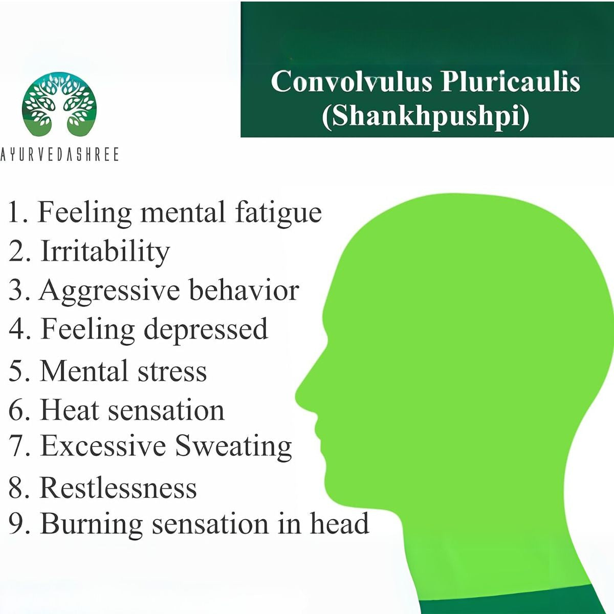 Ayurvedashree Shankhpushpi Powder 200 Gm | Convolvulus Pluricaulis | Supports Immunity System | Vegan