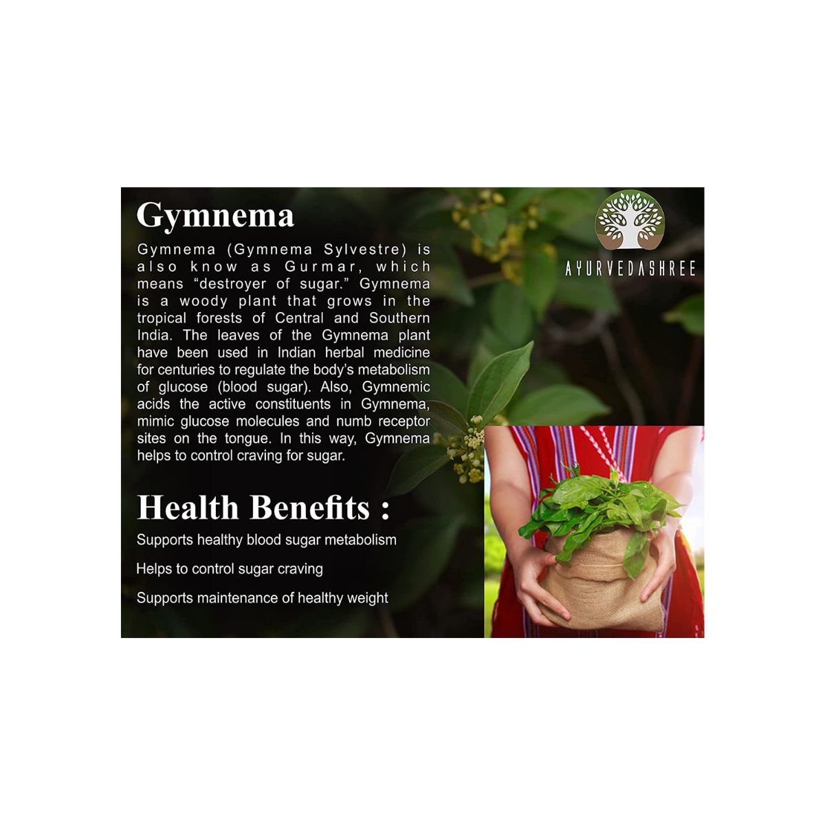 Ayurvedashree Gymnema Sylvestre Leaf Powder 200 Gm I Gurmar Powder Inon Gmo I Gluten-Free, Vegetarian