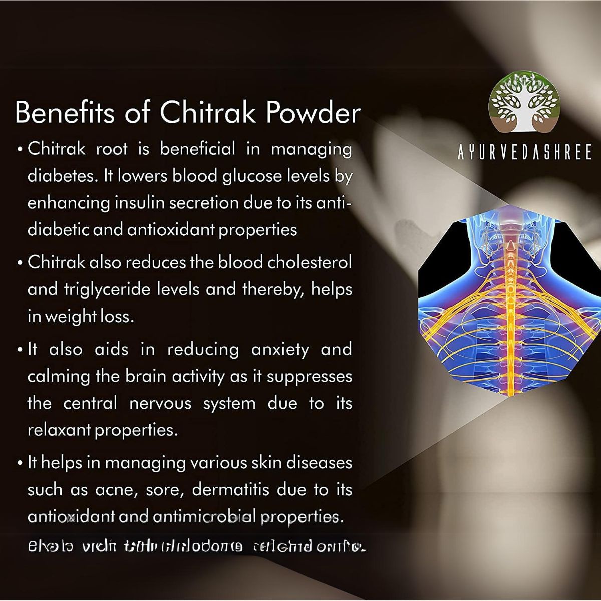 Ayurvedashree Chitrak Roots Powder I Chitrak Mool Powder I 200 Gm I Chita Jadd I Plumbago Indica Root