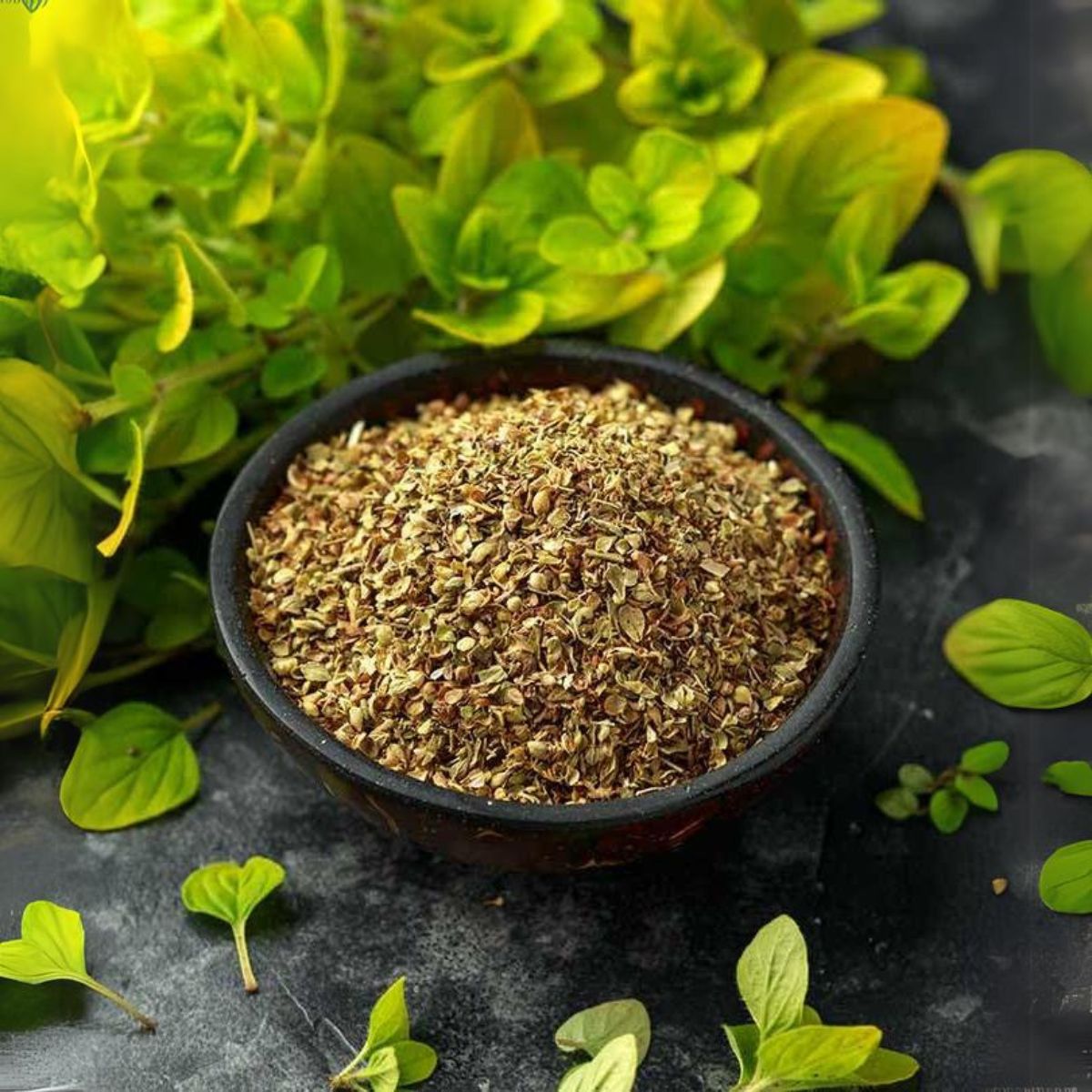 Ayurvedashree Oregano Seasoning 100Gm Pet Jar ~ All Natural | Vegan