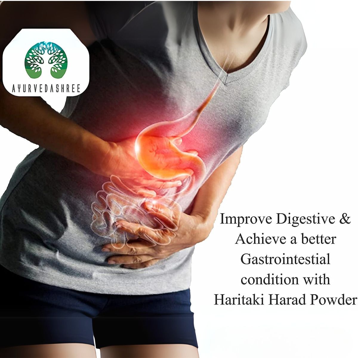 Ayurvedashree Haritaki Powder 200 Gm I Terminalia Chebula Powder| Non Gmo I Gluten Free I Gmp Cerfitied