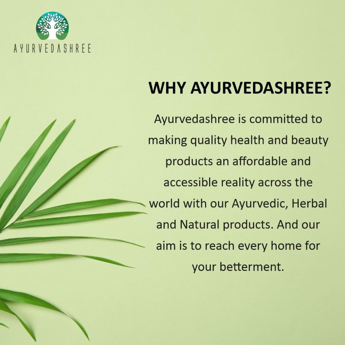 Ayurvedashree Ginger (Adarak) Powder Ground, Spice 100Gm Pet Jar | All Natural | Vegan