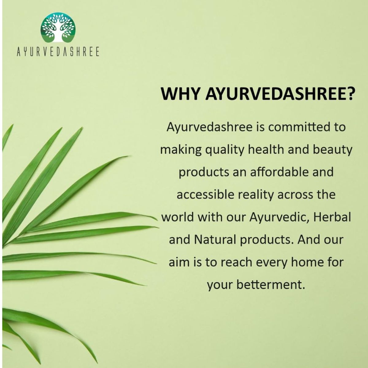 Ayurvedashree Ajwain Seeds (Carom Seeds/Bishops Weed) Spice Whole 100G Pet Jar