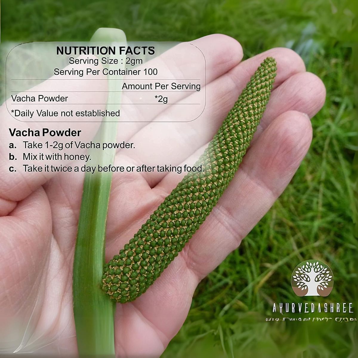 Ayurvedashree Calamus Powder 200 Gm | Vacha Powder | Acorus Calamus | Highly Aromatic Herb |