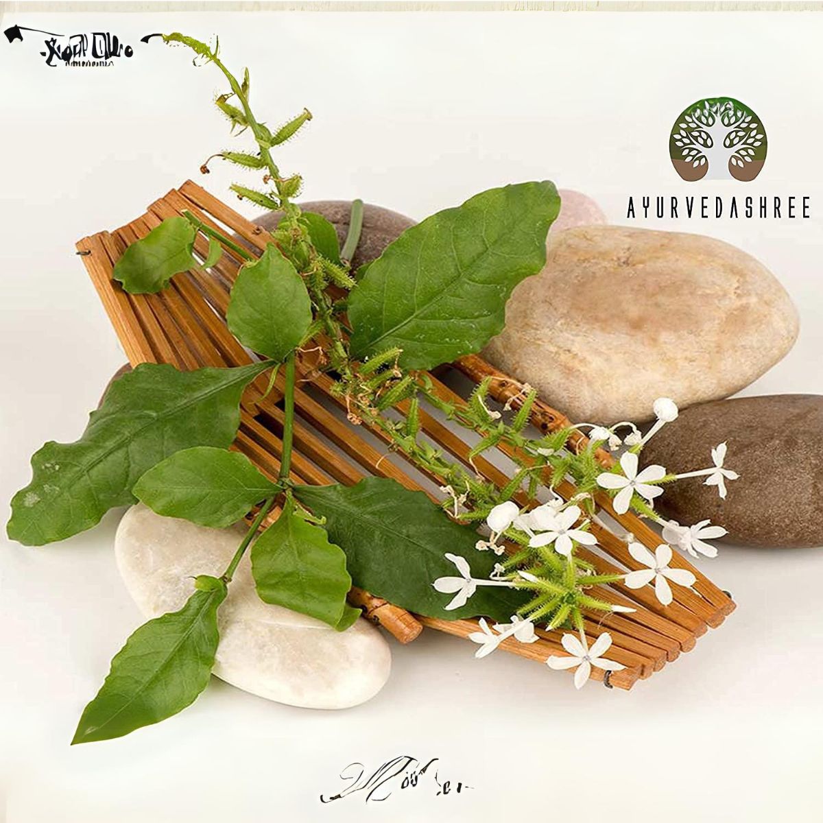 Ayurvedashree Chitrak Roots Powder I Chitrak Mool Powder I 200 Gm I Chita Jadd I Plumbago Indica Root