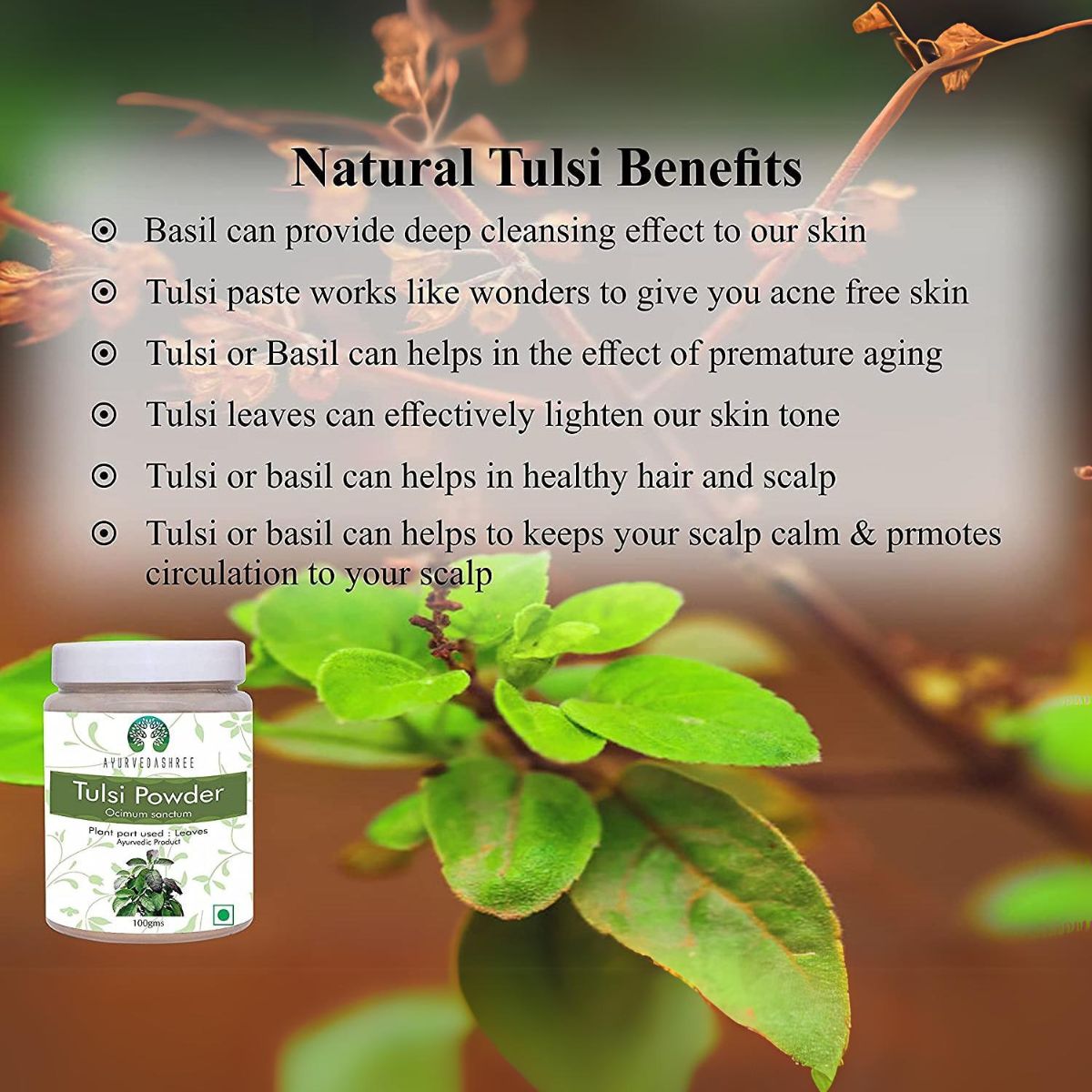 Ayurvedashree Tulsi Powder Holy Basil Powder 100 Gm | Ocimum Sanctum