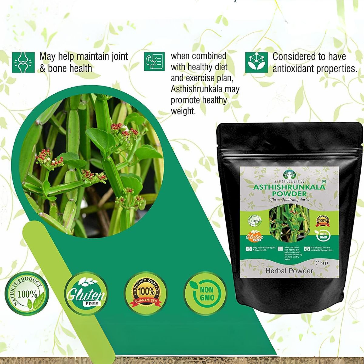 Asthishrunkala Powder Cissus Quadrangularis 1 Kg Pack | Non Gmo - Gluten Free
