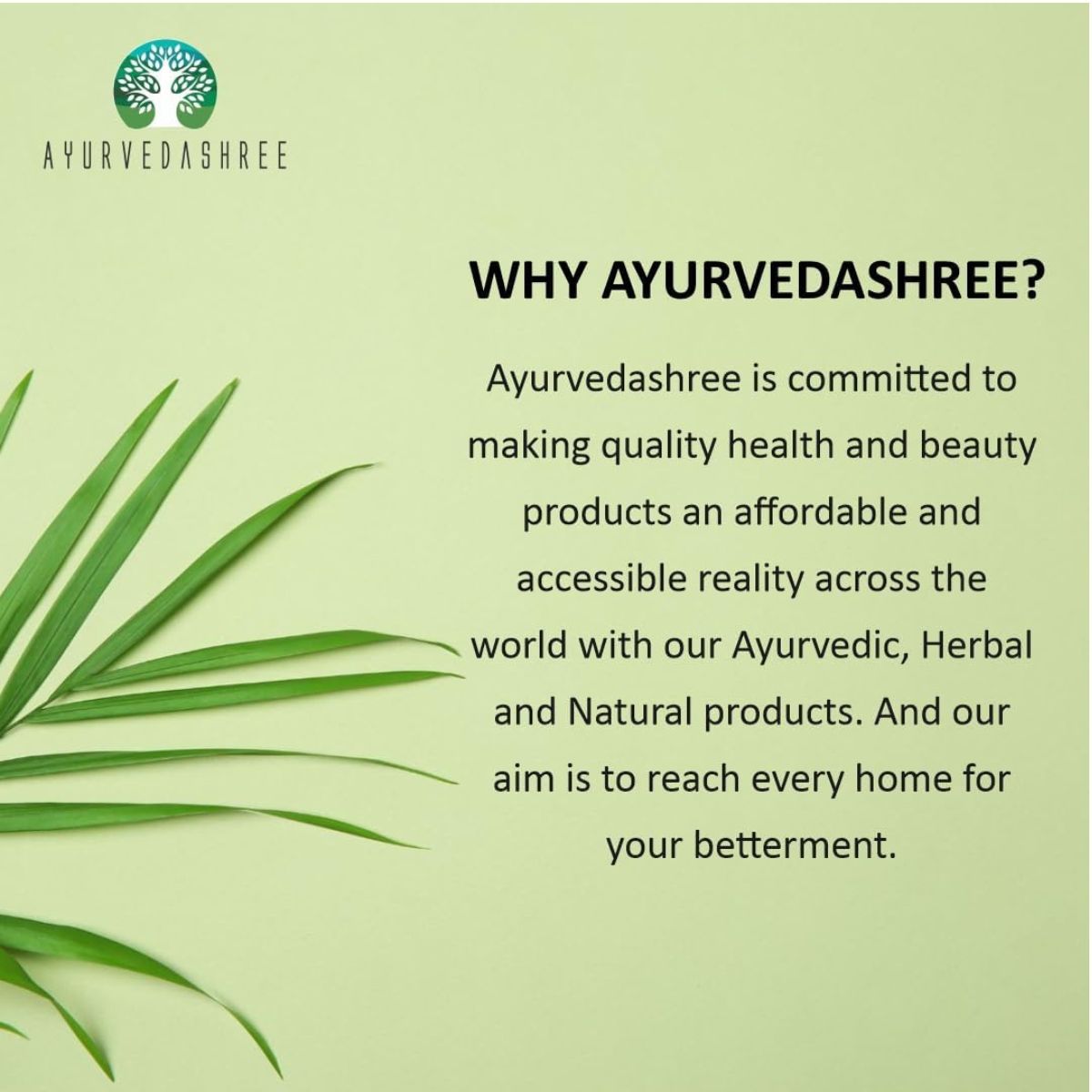 Ayurvedashree Cumin Seed Powder (Jeera Powder) Spice 100G, All Natural | 100% Pure | Non-Gmo | Vegan