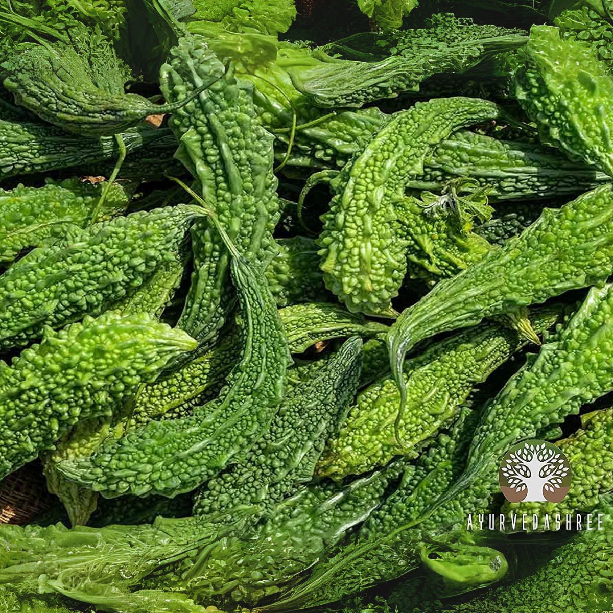 Ayurvedashree Bitter Melon Powder 200 Gm I Momordica Charantia/Karela Fruit Powder I Ayurvedic Herb