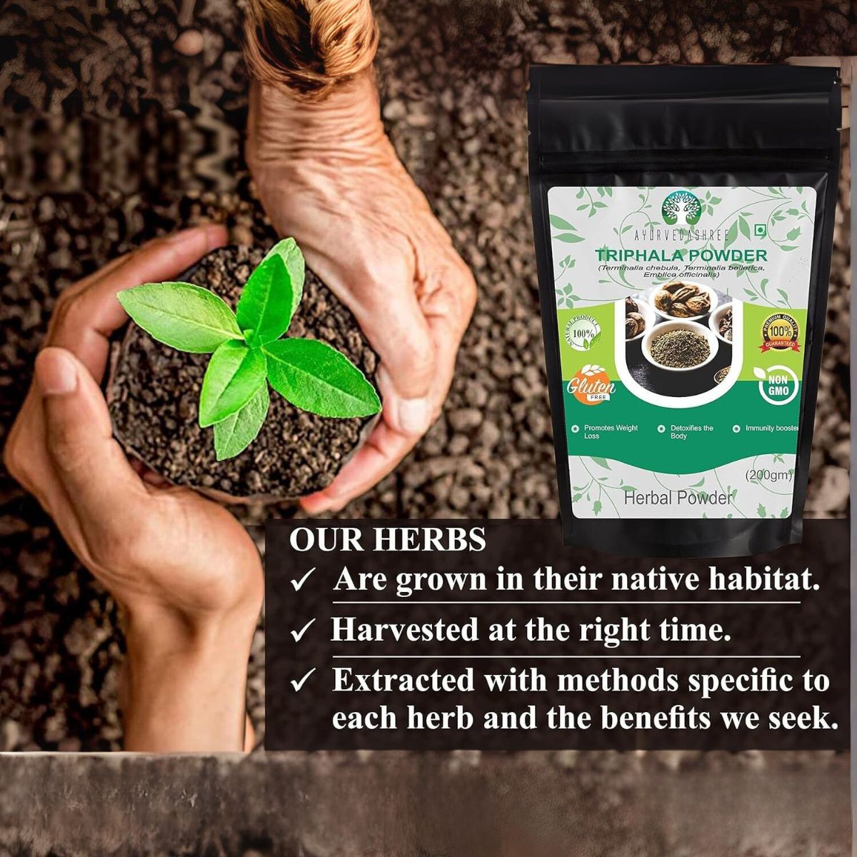 Ayurvedashree Triphala Powder 200 Gm | Formula Of Amla, Haritaki & Bibhitaki | Supports Daily Detoxifying, Cleansing & Rejuvenation