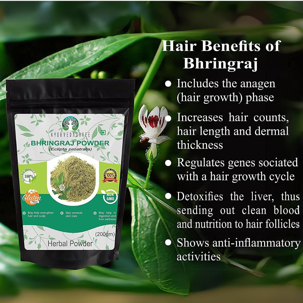 Ayurvedashree Bhringraj Powder 200 Gm I Bhringaraj Eclipta Alba Powder Promotes Healthy Hair Growth