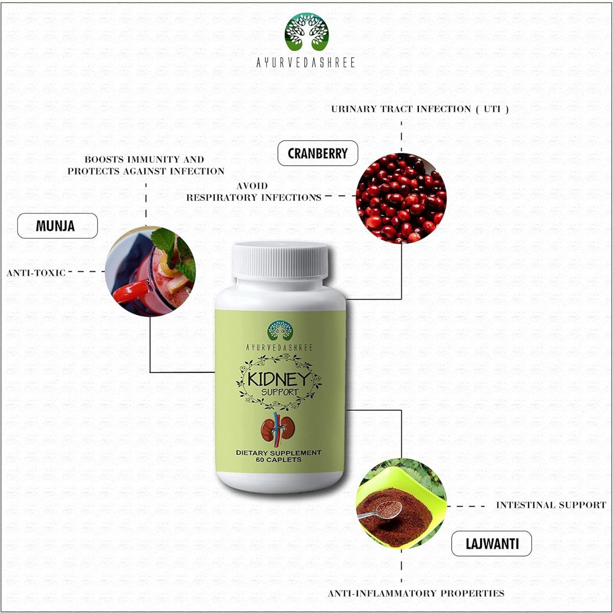 Ayurvedashree Kidney Support Herbal Supplement - Supports Healthy Kidney Function, Vegan, Gluten-Free, Gmp Certified - Each Caplet Of 1000 Mg