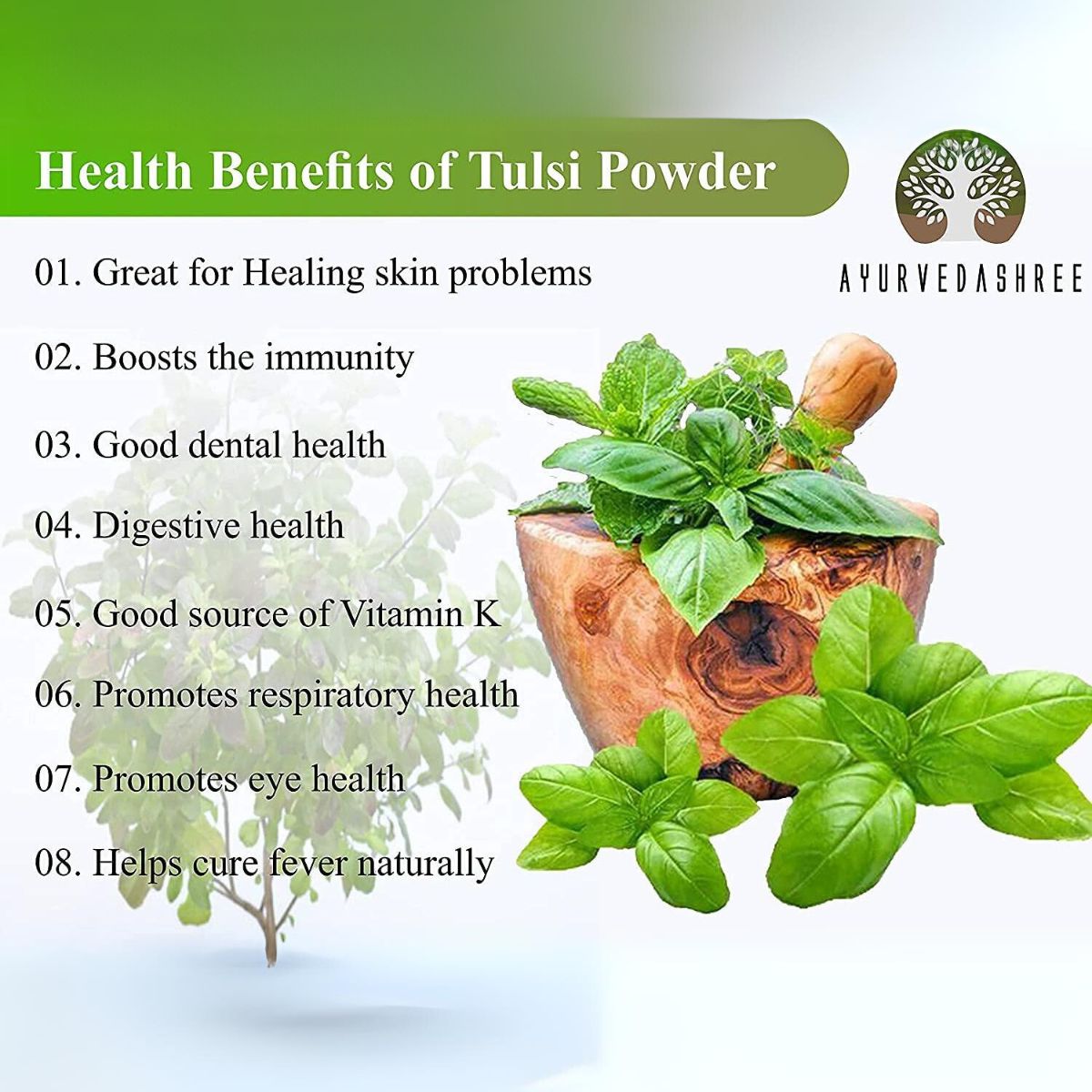 Ayurvedashree Tulsi Powder Holy Basil Powder 100 Gm | Ocimum Sanctum