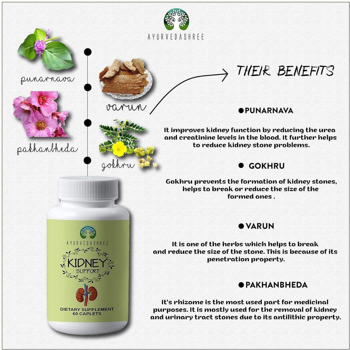 Ayurvedashree Kidney Support Herbal Supplement - Supports Healthy Kidney Function, Vegan, Gluten-Free, Gmp Certified - Each Caplet Of 1000 Mg