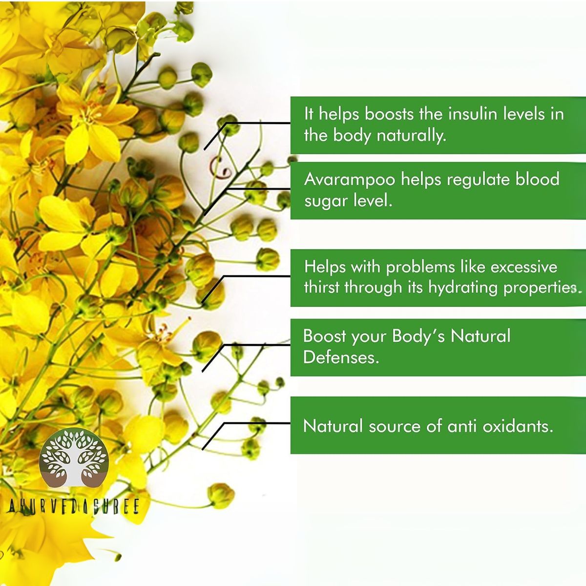 Ayurvedashree Senna Leaf Powder 200 Gm I Cassia Angustifolia Powder I Natural Herbal Laxative