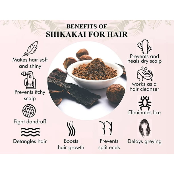 AYURVEDASHREE Shikakai Powder 100 Gm | Acacia concinna Fruit Pods Powder | Natural Hair Cleanser & Conditioner | Vegan | Non GMO | Vegan